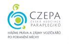 Nový bezplatný kurz projektu PRÁCE - AI v praxi