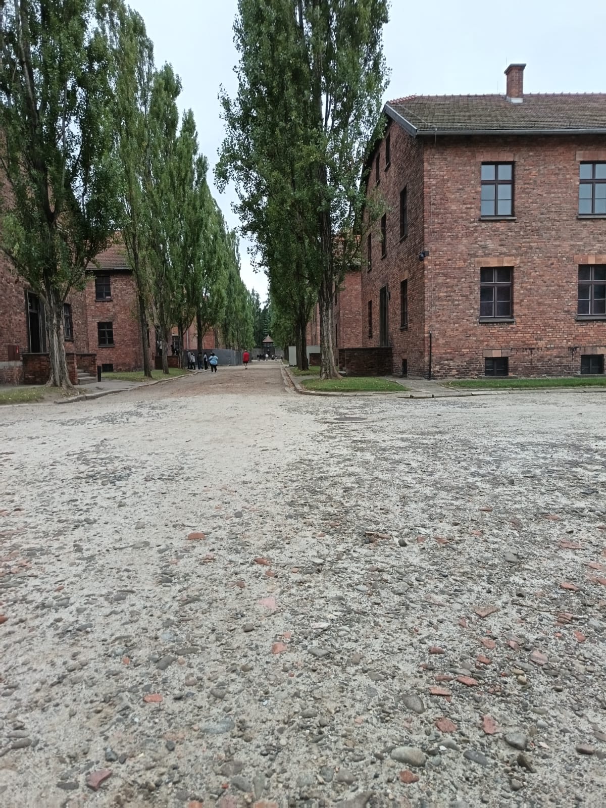 Chodníky v&nbsp;Auschwitz I