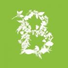 Botanická zahrada Praha zve na výstavu, kterou můžete poznávat všemi smysly