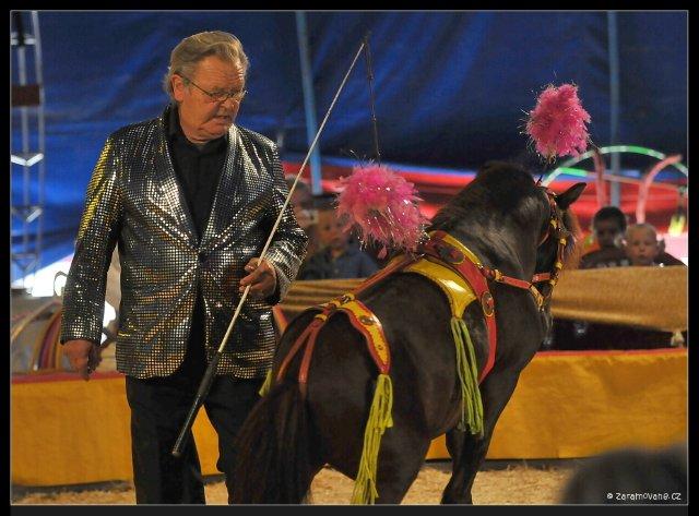 Starší pan Berousek a&nbsp;jeho poníci